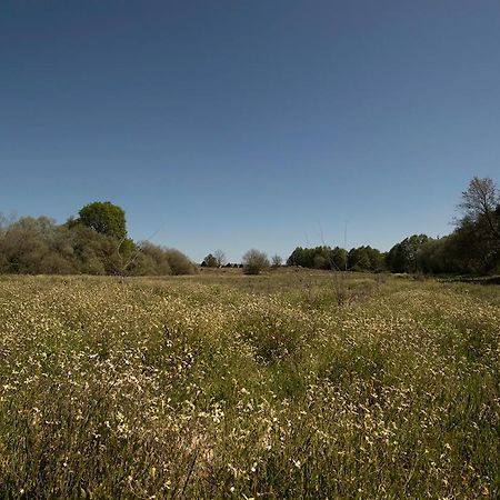 Saqa Organic Farm Villa Pera Boa Exteriör bild