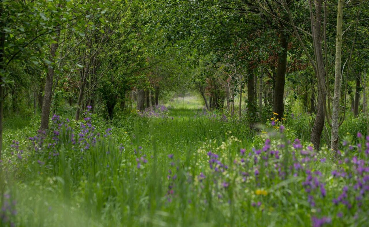 Saqa Organic Farm Villa Pera Boa Exteriör bild