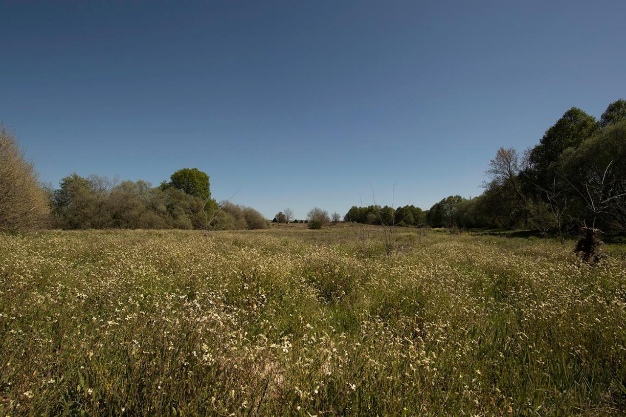Saqa Organic Farm Villa Pera Boa Exteriör bild