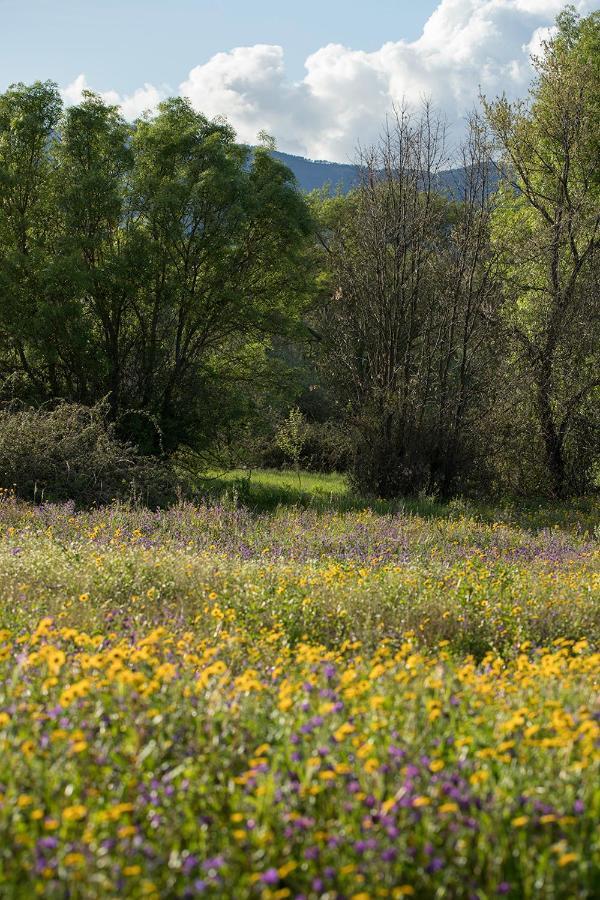 Saqa Organic Farm Villa Pera Boa Exteriör bild