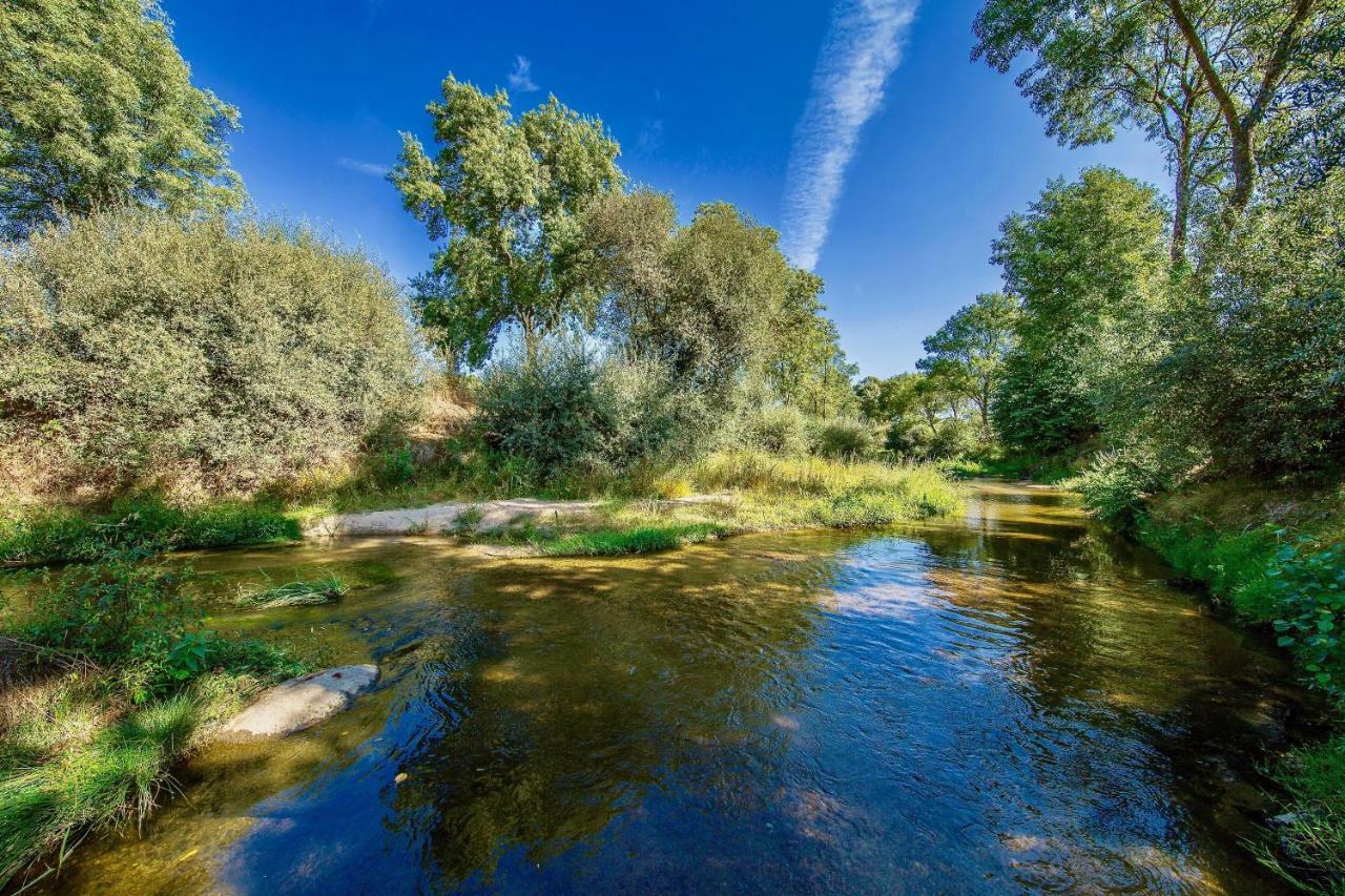 Saqa Organic Farm Villa Pera Boa Exteriör bild